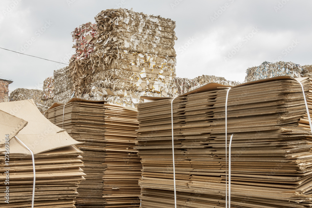 Waste paper recycling. Stock Photo | Adobe Stock