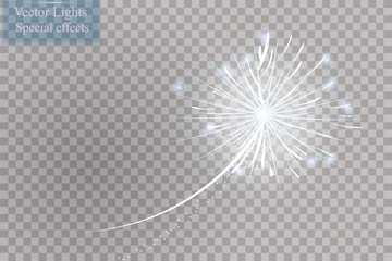 Wall Mural - firework collection in transparent background. vector illustration