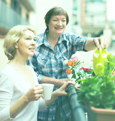 Wall Mural - Old women on balcony with coffee