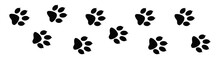 Paw Prints. Animal Tracks On A White Isolated Background. Steps Animal Drawn For The Design Of Backdrops.