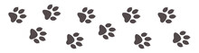 Paw Prints, Animal Tracks On A White Isolated Background. Steps Animal Drawn For The Design Of Backdrops.