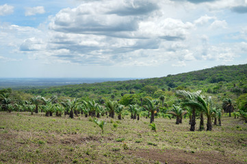 Wall Mural - Beautiful volcanic landscapes of San Jacinto near Leon, Nicaragua. Central America