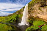 Fototapeta Mapy - Seljalandsfoss one of the most famous Icelandic waterfall
