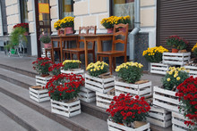 Beautiful Flowers In Wooden Boxes Near The Cafe. City