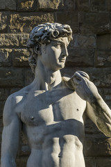 Michaelangelo's David in Florence, Italy