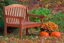 A Photo Of Two Pumpkins And A Golden Mum Sitting Next To A Wooden Garden Bench Sprinkled With Fallen Leaves