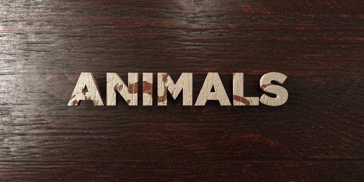 Animals - grungy wooden headline on Maple  - 3D rendered royalty free stock image. This image can be used for an online website banner ad or a print postcard.