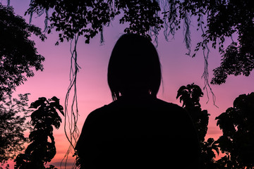 Wall Mural - Silhouettes, sunsets among the trees. Light and beauty of the sky at sunset.