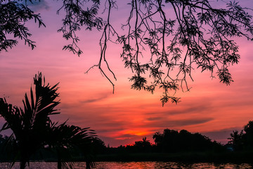 Wall Mural - Silhouettes, sunsets River's Edge. Light and beauty of the sky at sunset.