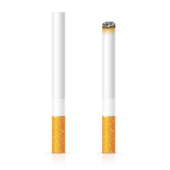 Poster - Realistic Cigarette with Traditional Filter. Vector