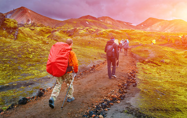 Wall Mural - hikers with backpacks on the trail in the mountains. Trek in Iceland