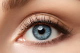 Fototapeta  - Close up view of beautiful blue female eye