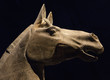 Ceramic horses from China.  Horsehaed. Terracotta army. The armies of Qin Shi Huang
