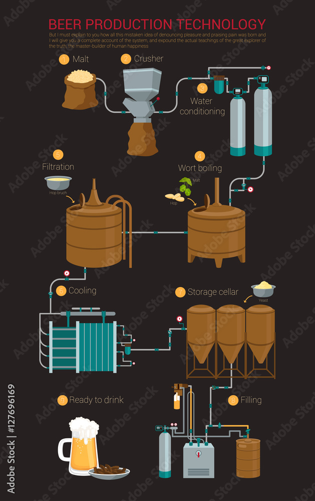 Beer production process infographic Stock Vector | Adobe Stock