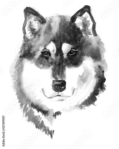 Obraz w ramie Ręcznie rysowany pies Alaskan