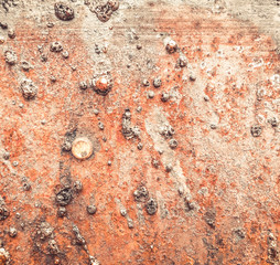 Sticker - rustic metal texture background