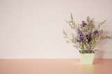 Fototapeta Lawenda - violet flower in pot