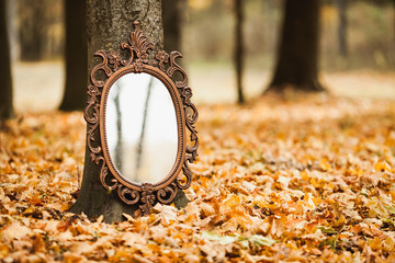 autumn scenery in the park