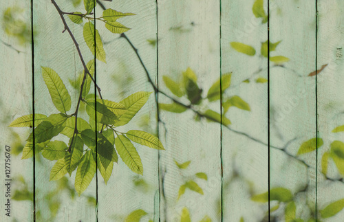 Fototapeta do kuchni Wood background with green leaves overlay