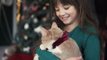 Portrait Of Kid Girl Playing With Redhead Cat Before Christmas Tree