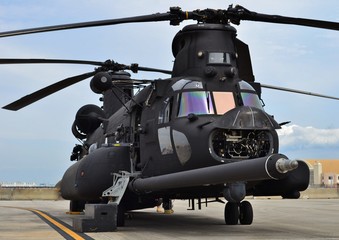Wall Mural - CH-47 Chinook Army Helicopter 