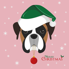 Wall Mural - Christmas greeting card. Boxer dog with green Santa's hat and Christmas toy ball