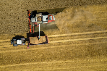 Combine working on the wheat field