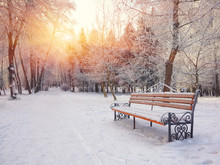 Park Bench And Trees Covered By Heavy Snow