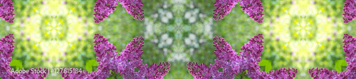 panorama  pattern of fresh lilacs