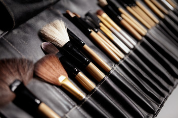 set of make-up brushes in black makeup bag. beauty tools for professional visage. brushes for maskar