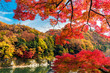 © segawa7 - 長瀞 秋の紅葉