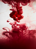 Fototapeta Tulipany - red dye in water