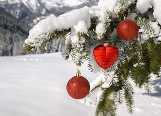 red christmas decorations on natural fir tree with snow