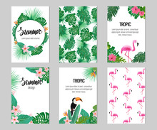 Set Of Six Cards With Tropic Elements. Seamless Patterns With Flamingo And Tropic Plants.