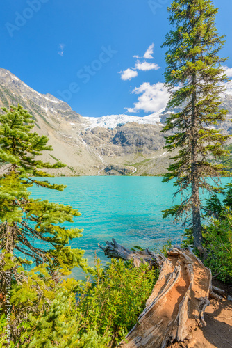 Zdjęcie XXL Majestatyczne górskie jezioro w Kanadzie. Widok szlaku górnego jeziora Joffre.