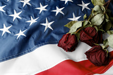 Dried Roses On American National Flag. Veterans Day Concept