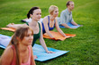 a group of adherents of a healthy way of life involved in fitness in the park