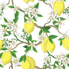 Wall Mural - floral pattern with lemons and white flowers.
