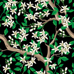 Wall Mural - floral seamless pattern with white flowers.