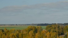 Wind Turbines In The County Of Birzai, Lithuania, Can Be Seen In The Distance Behind A Autumn Forest.