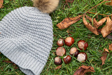 The Season Of Chestnuts. Chestnuts On The Grass With Hat.