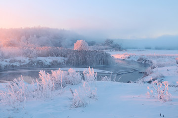 Wall Mural - Frosty winter sunrise