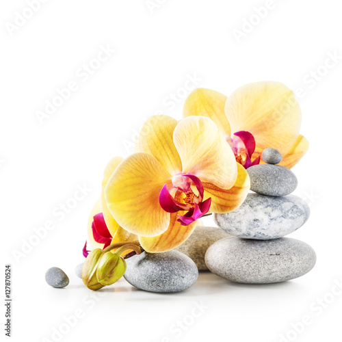 Naklejka dekoracyjna Yellow orchid flowers and spa stones