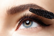 Close-up of make-up eye with long lashes with black mascara