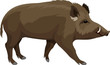 vector wild hog boar mascot