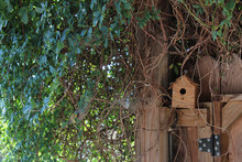 Birdhouse In A Nook Of A Fence