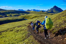 Hikers On The Trail In The Islandic Mountains. Trek In National Park Landmannalaugar, Iceland. Valley Is Covered With Bright Green Moss
