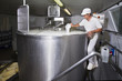 Cheesemaker pours rennet in a large tank full of milk steel