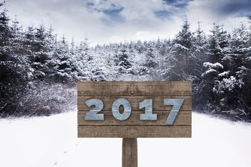 Poster - Composite image of digital image of new year 2017