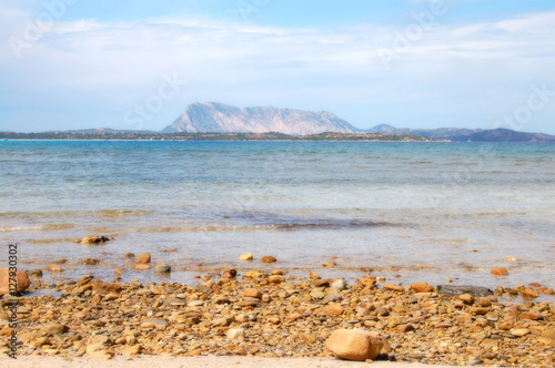 Spiaggia La Cinta San Teodoro Sardegna Buy This Stock